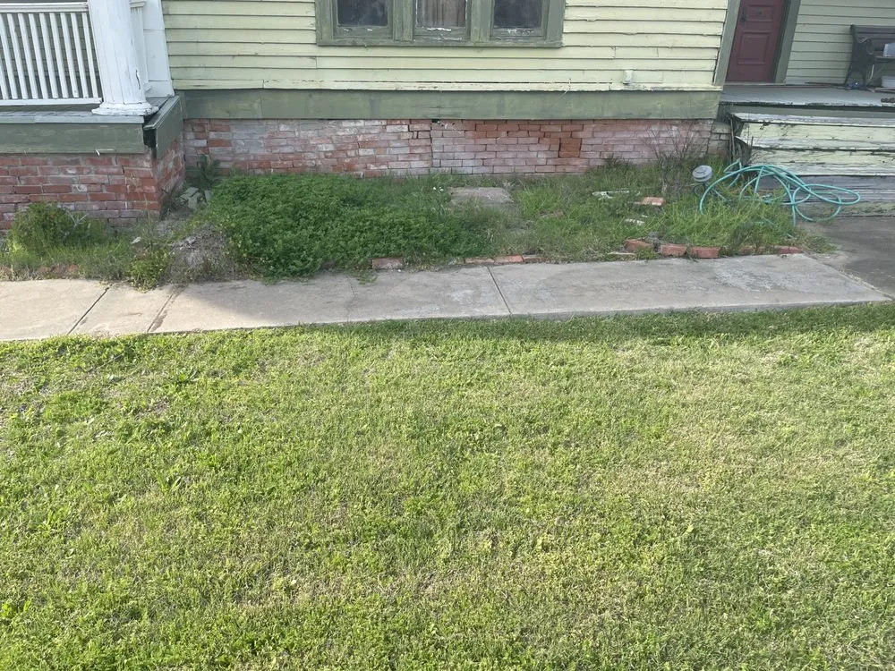 Professional lawn mowing service in Navasota, TX by Logan's Lawn Service