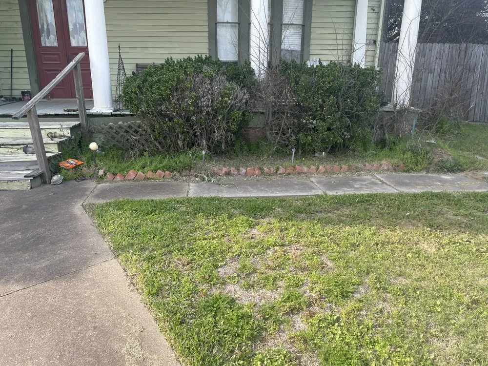 Custom outdoor landscaping for beautiful yards across Navasota, TX - Logan's Lawn Service