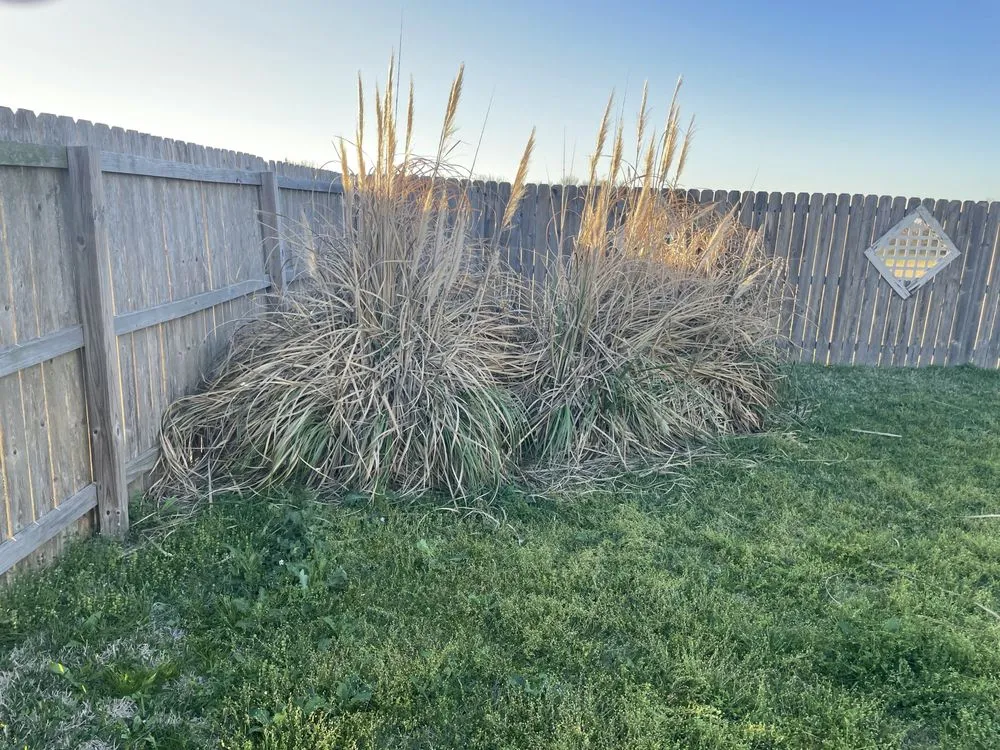 Local landscape installation near you in Navasota, TX by Logan's Lawn Service