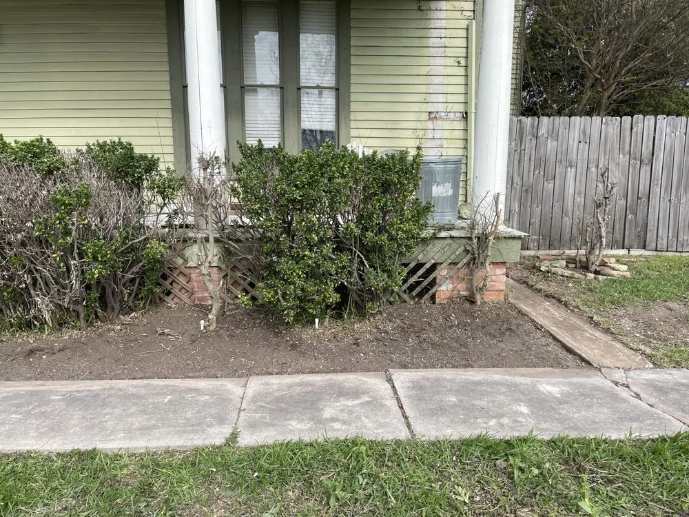Expert outdoor landscaping in Navasota, TX by Logan's Lawn Service