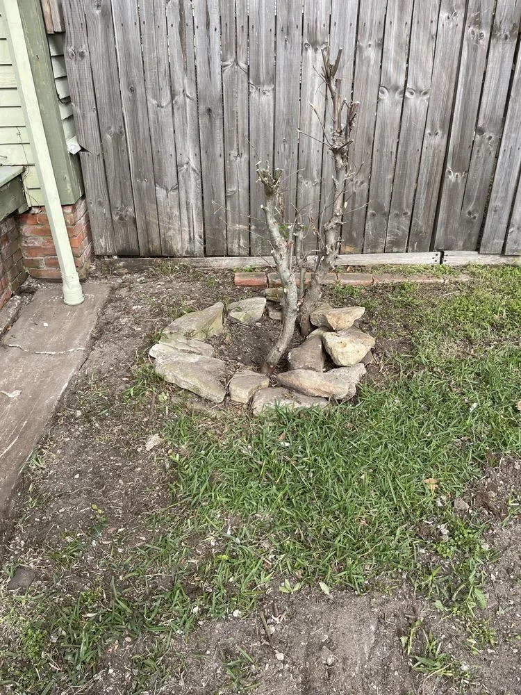 Reliable outdoor landscaping experts serving Navasota, TX - Logan's Lawn Service