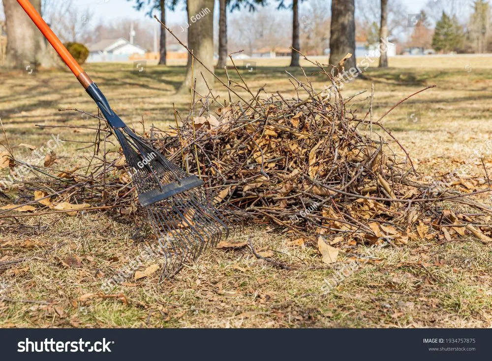 Trusted yard maintenance for homes in Salem, IL by Logans mowing business