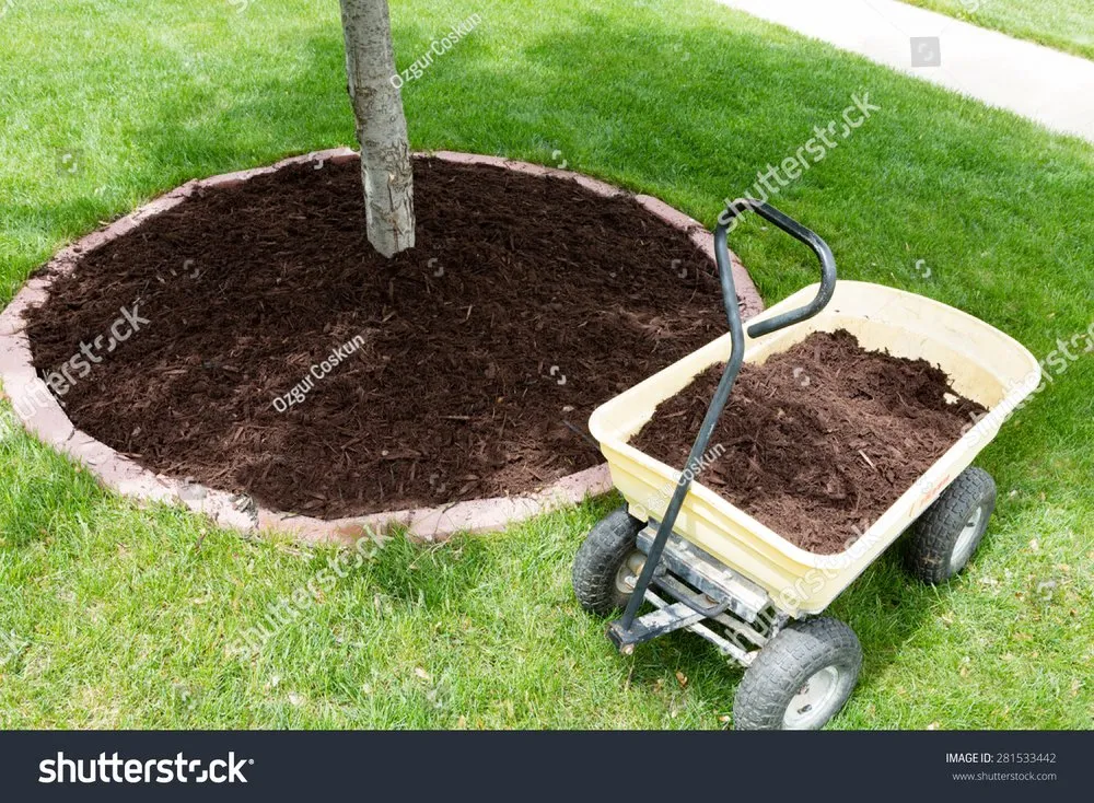 Reliable garden landscaping experts serving Salem, IL - Logans mowing business