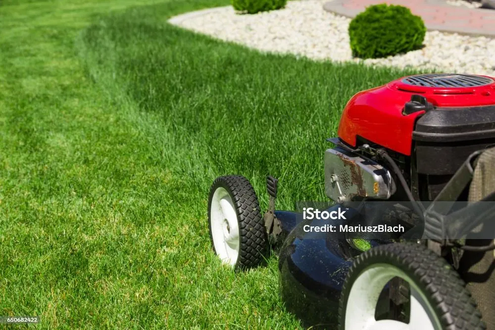 Affordable landscape design in Salem, IL by Logans mowing business