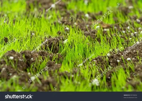 Logans mowing business