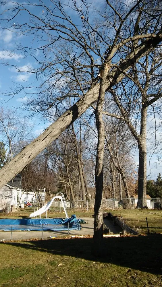 Reliable landscape design for year-round maintenance in Village Of Clarkston, MI by Logan's Tree & Landscaping