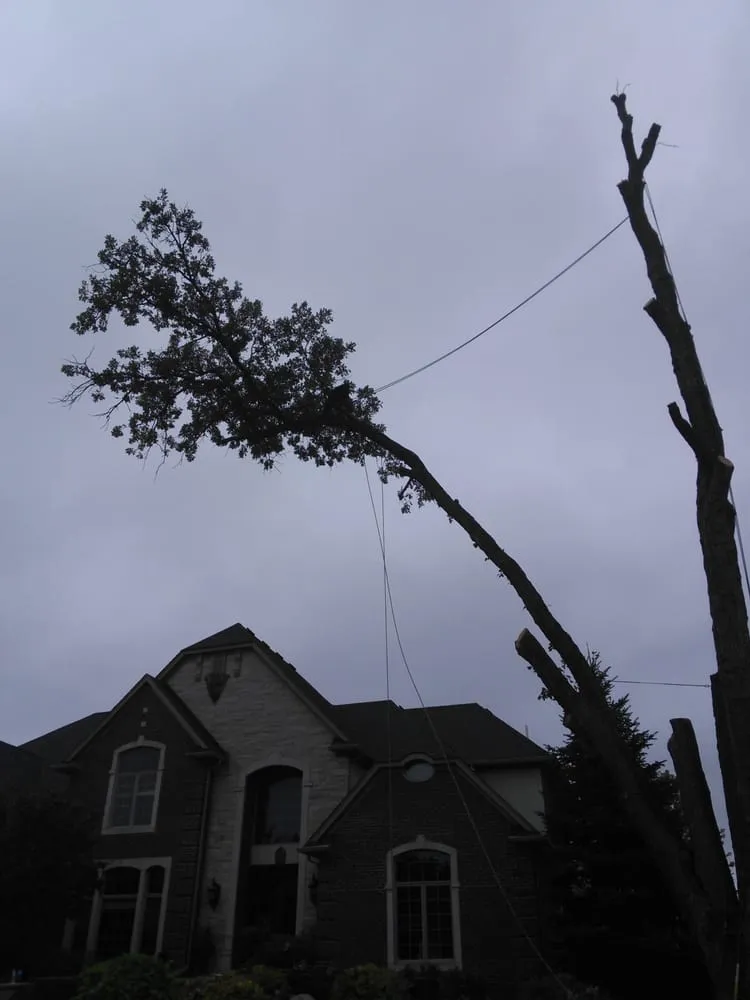 Expert landscaping services in Village Of Clarkston, MI by Logan's Tree & Landscaping
