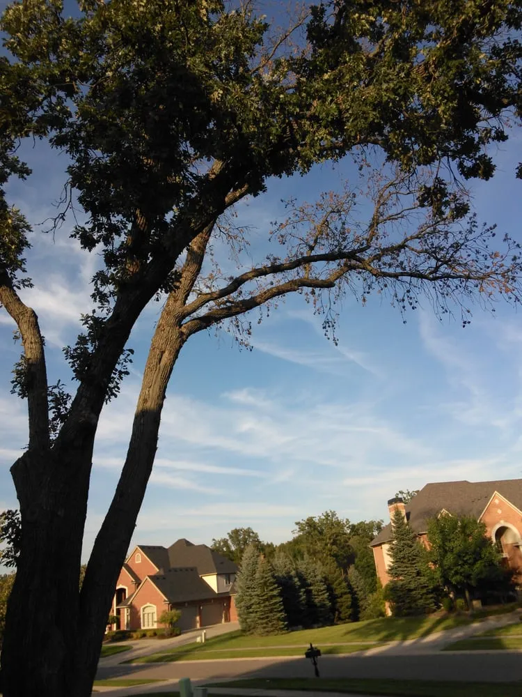 Affordable yard cleanup service near you across Village Of Clarkston, MI - Logan's Tree & Landscaping