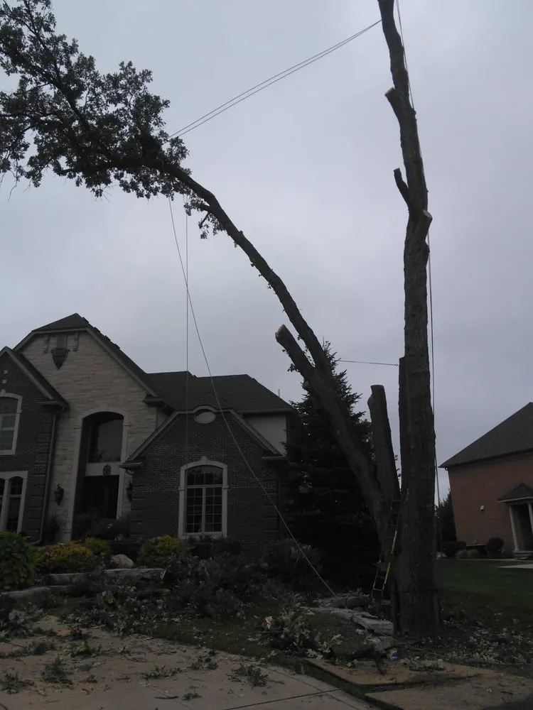 Reliable residential landscaping in Village Of Clarkston, MI - Logan's Tree & Landscaping