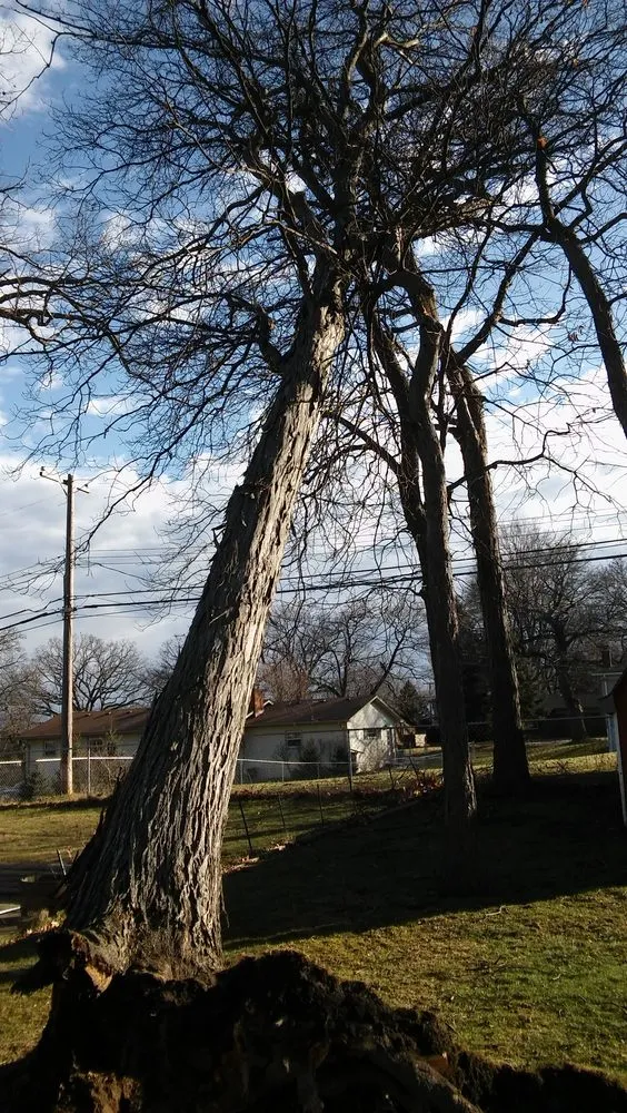 Reliable landscape installation in Village Of Clarkston, MI - Logan's Tree & Landscaping