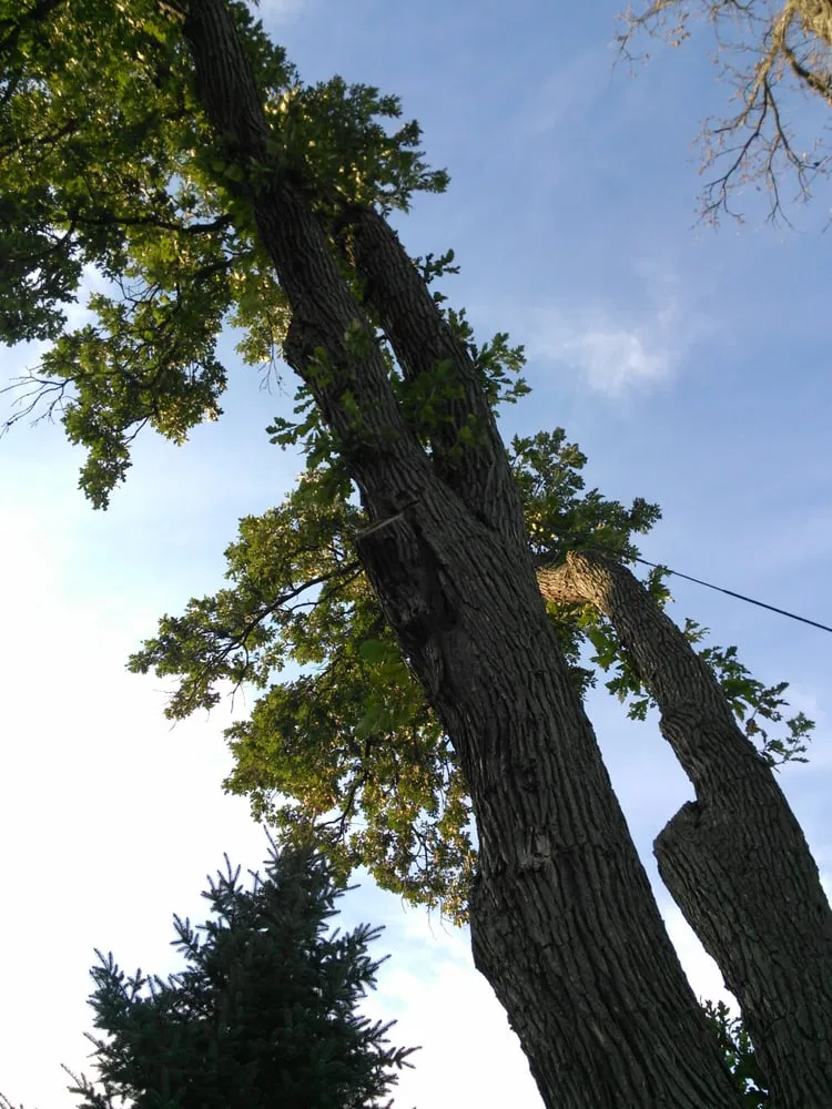Reliable residential landscaping with custom design across Village Of Clarkston, MI - Logan's Tree & Landscaping