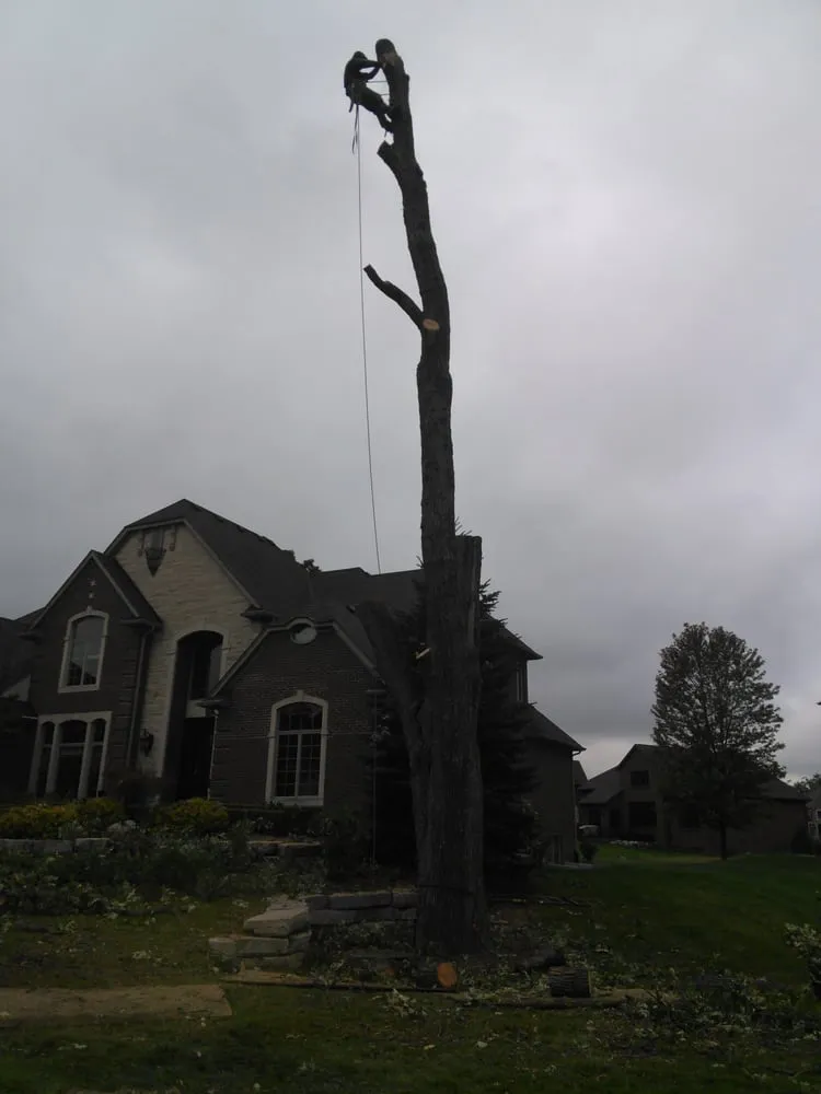 Reliable landscape design for outdoor upgrades in Village Of Clarkston, MI by Logan's Tree & Landscaping
