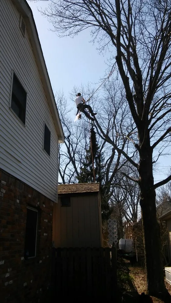 Top-rated yard cleanup service experts serving Village Of Clarkston, MI - Logan's Tree & Landscaping