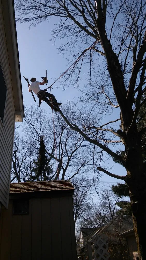 Trusted landscape design for residential properties across Village Of Clarkston, MI - Logan's Tree & Landscaping