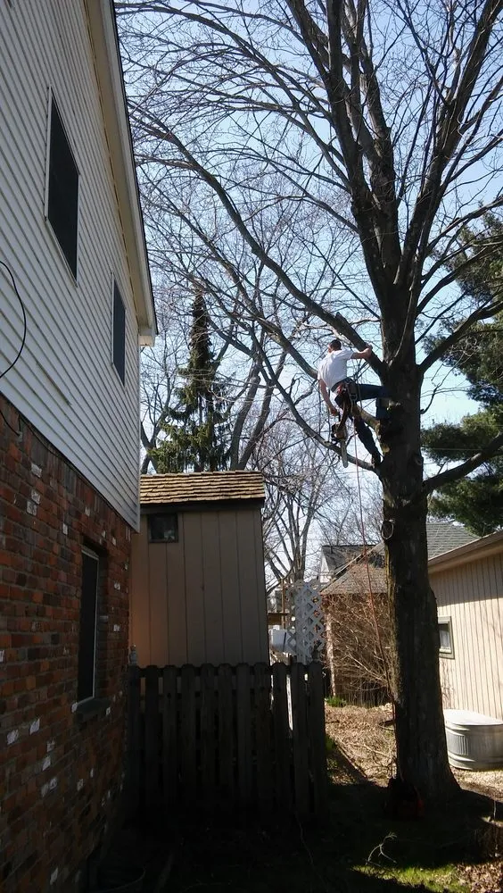 Trusted landscaping services in Village Of Clarkston, MI - Logan's Tree & Landscaping