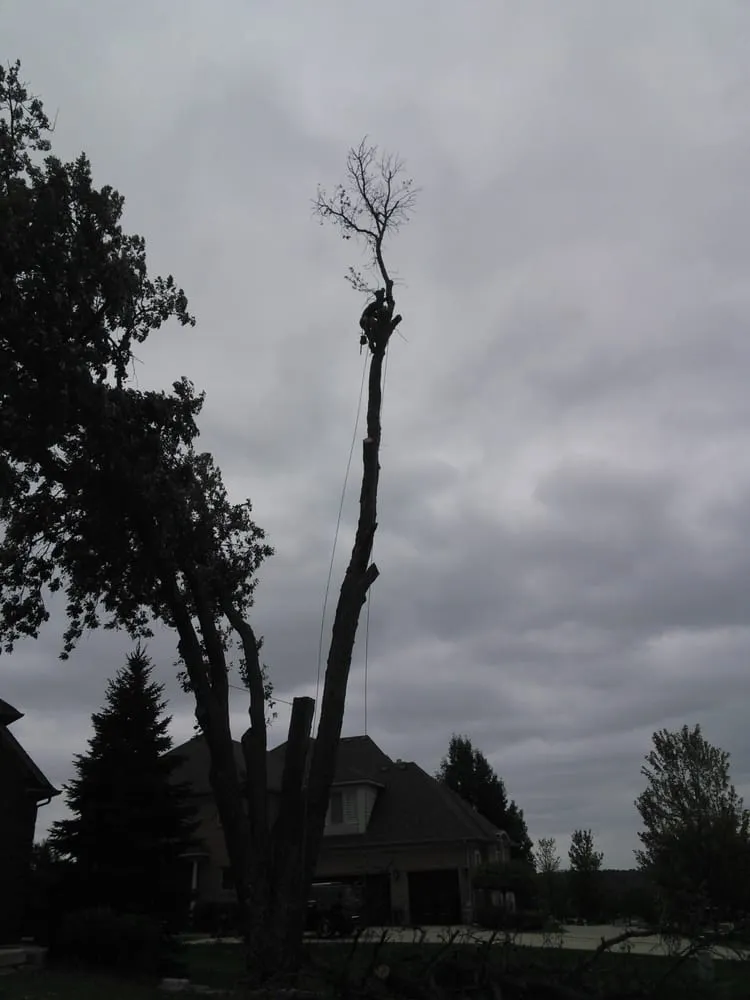 Local landscape design in Village Of Clarkston, MI - Logan's Tree & Landscaping
