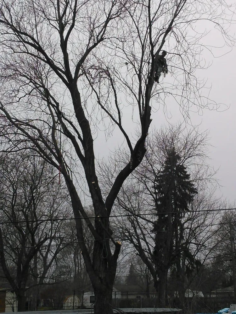 Custom outdoor landscaping in Village Of Clarkston, MI - Logan's Tree & Landscaping
