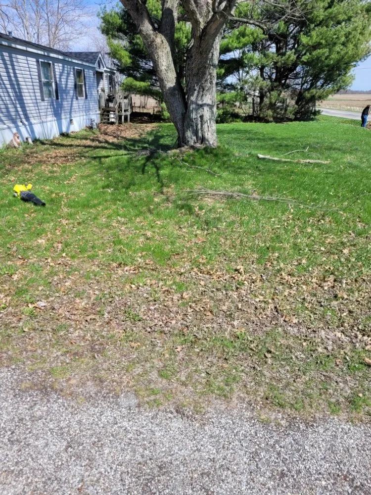 Professional landscape design experts serving Logansport, IN - Logansport Landscape & Removal