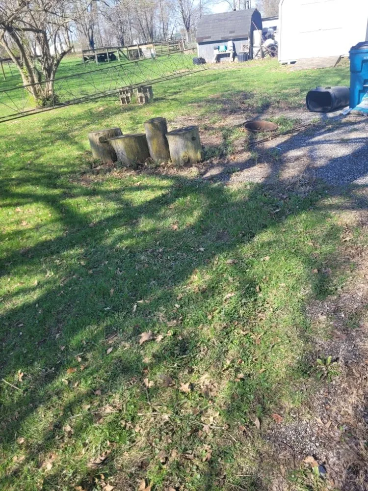 Top-rated yard cleanup service in Logansport, IN by Logansport Landscape & Removal