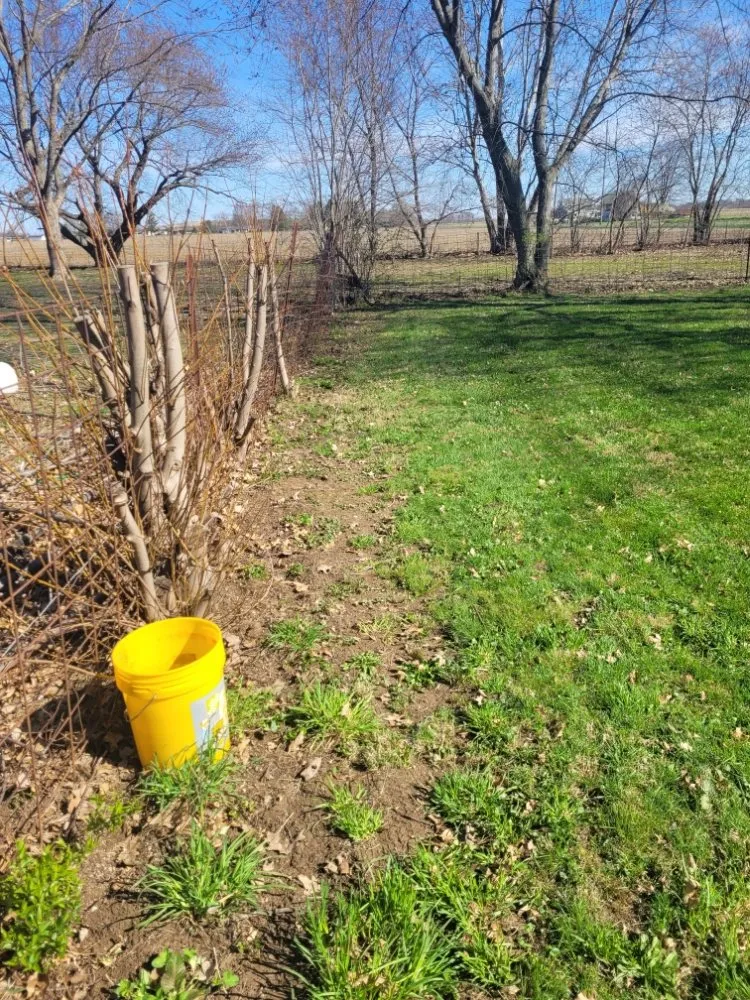 Custom yard cleanup service in Logansport, IN - Logansport Landscape & Removal