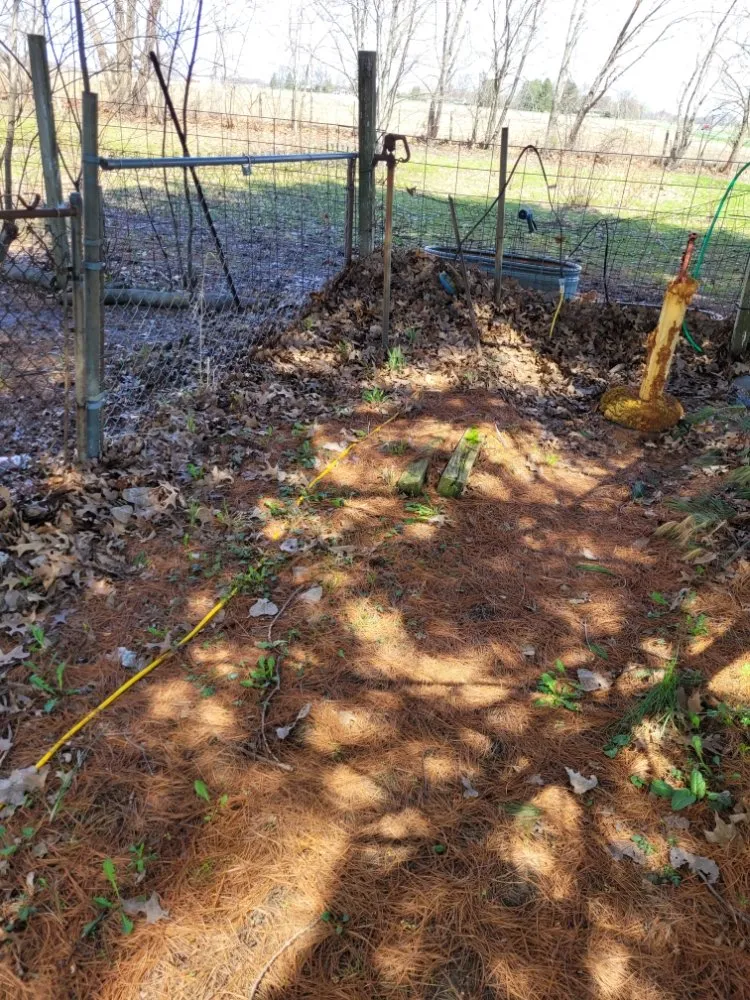 Expert yard maintenance near you across Logansport, IN - Logansport Landscape & Removal