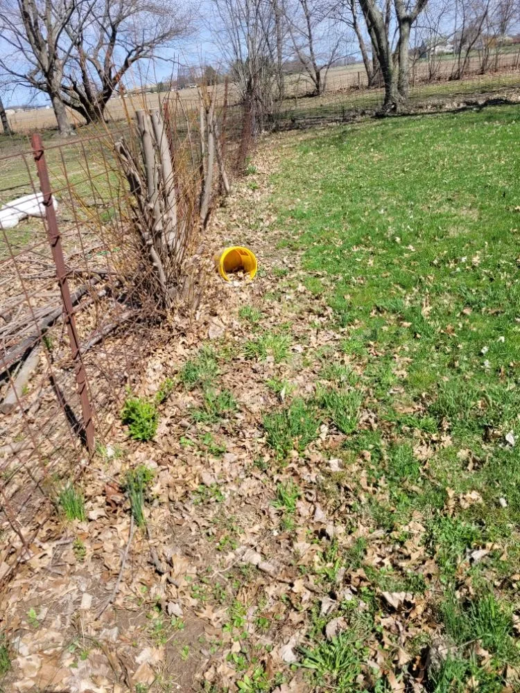 Expert yard cleanup service for beautiful yards across Logansport, IN - Logansport Landscape & Removal