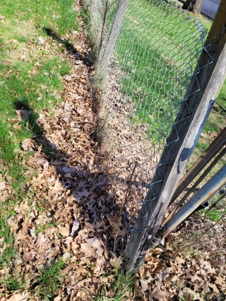 Affordable lawn mowing service for residential properties across Logansport, IN - Logansport Landscape & Removal