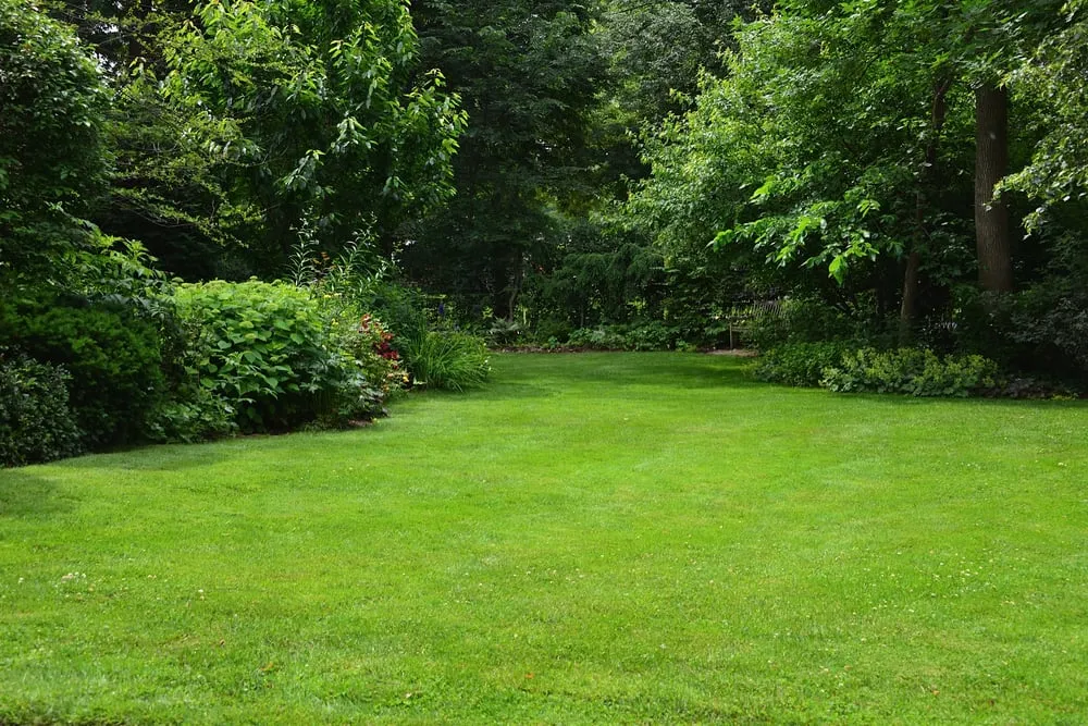 Top-rated landscape design for outdoor upgrades across Evanston, IL - Logic Lawn Care