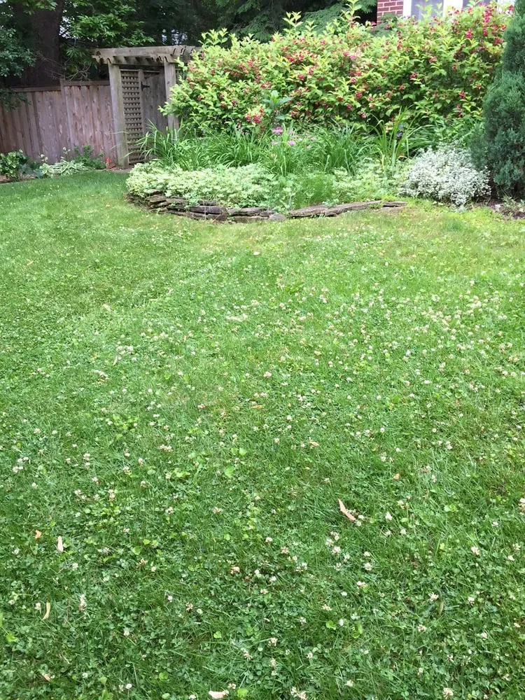 Trusted landscape design in Evanston, IL - Logic Lawn Care