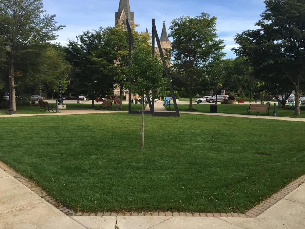 Local lawn care service in Evanston, IL - Logic Lawn Care