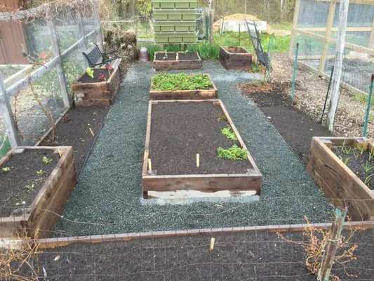 Logic Lawn Care Logo