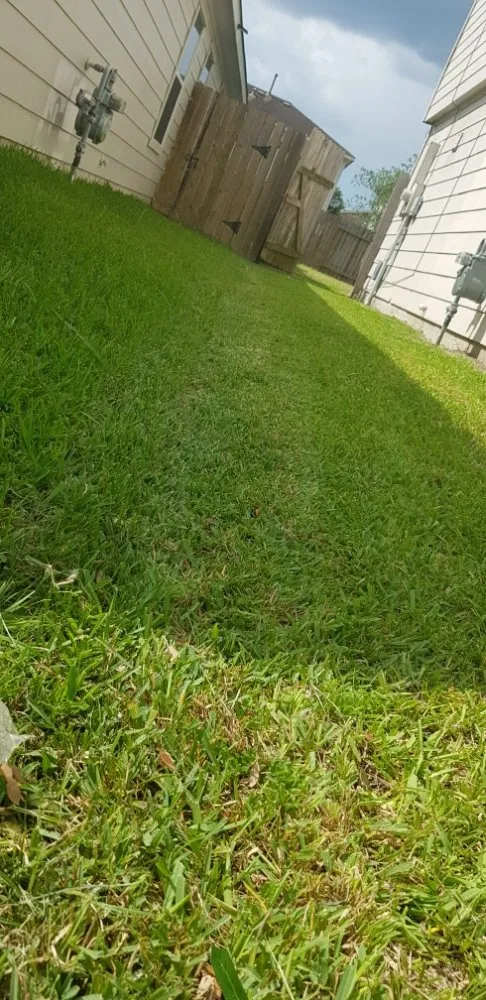 Reliable landscaping services in Houston, TX - Logical Cuts Lawn Care