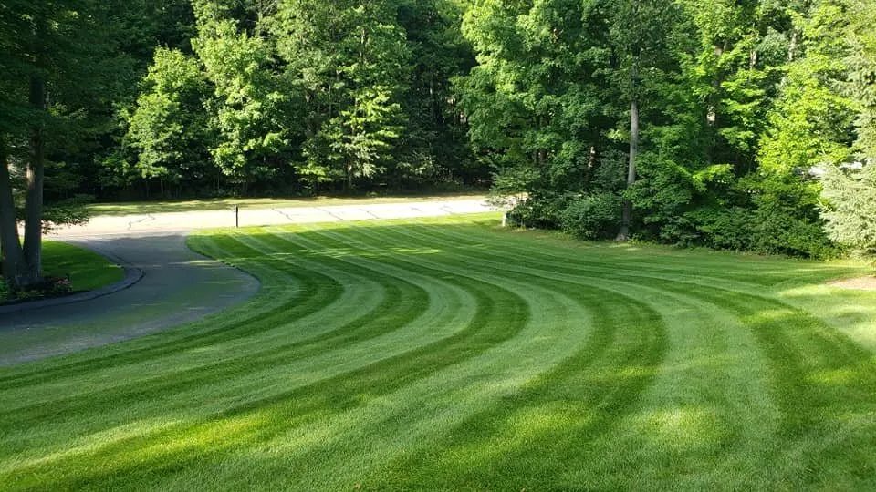 Custom yard maintenance for outdoor upgrades across Grand Rapids, MI - Logical Landscape Management