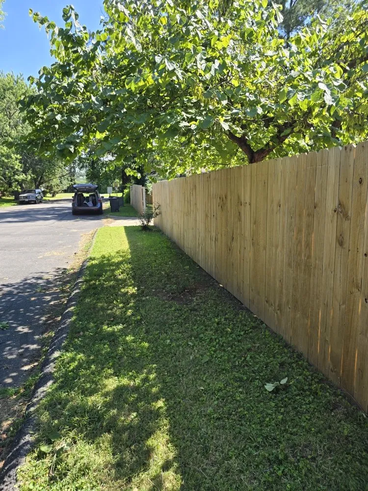 Top-rated lawn mowing service for outdoor upgrades in Carthage, MO by Logical Lawn Care