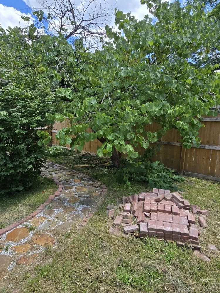 Affordable yard cleanup service experts serving Carthage, MO - Logical Lawn Care