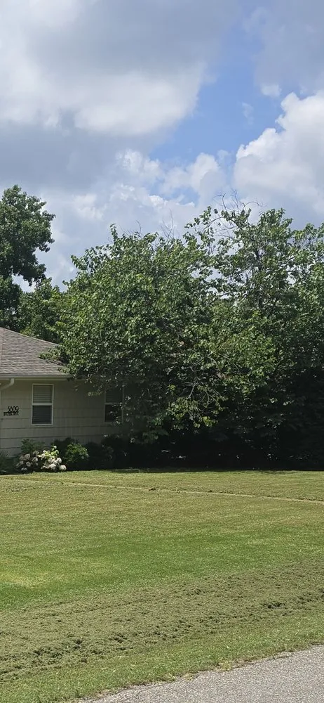 Affordable yard cleanup service for outdoor upgrades across Carthage, MO - Logical Lawn Care