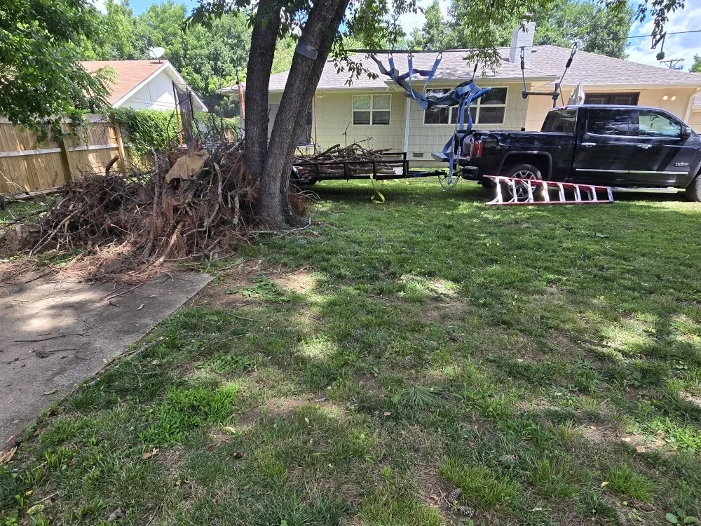 Custom yard cleanup service for year-round maintenance in Carthage, MO by Logical Lawn Care
