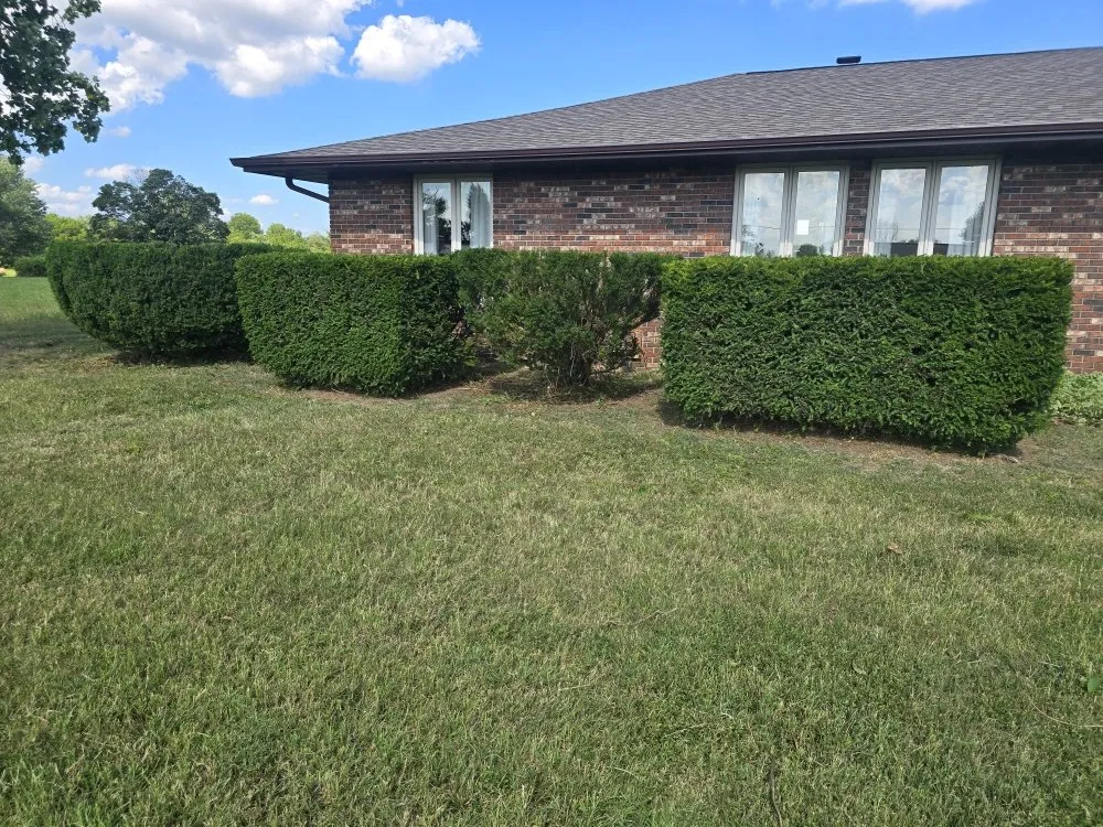 Reliable landscape installation in Carthage, MO by Logical Lawn Care