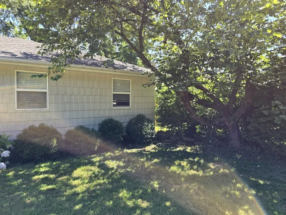 Top-rated lawn care service experts serving Carthage, MO - Logical Lawn Care