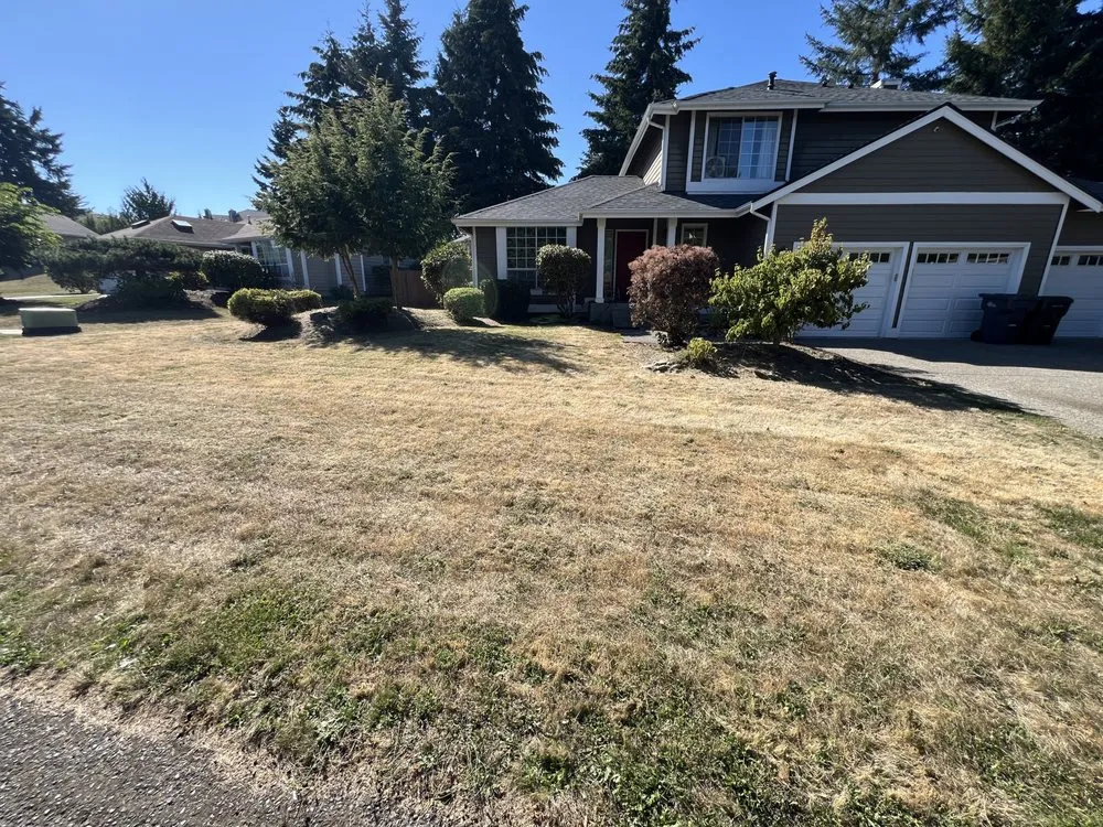 Custom garden landscaping with custom design across Puyallup, WA - Logical Lawn Care