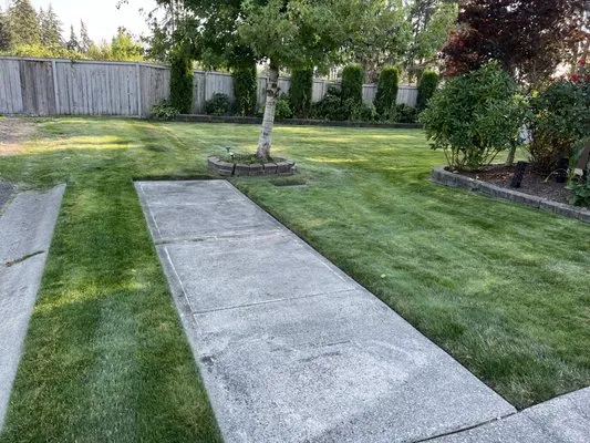 Logical Lawn Care Logo