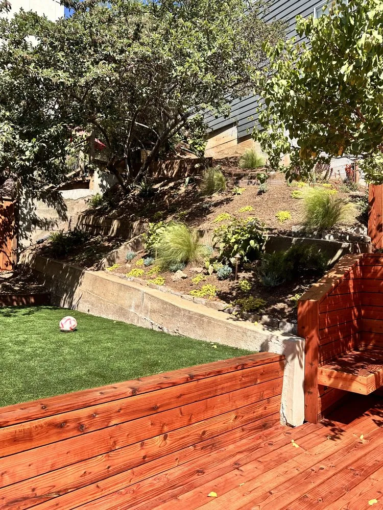 Professional yard cleanup service experts serving San Francisco, CA - Logiculture