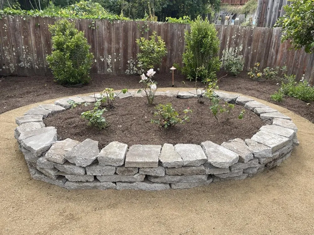 Reliable lawn care service experts serving San Francisco, CA - Logiculture