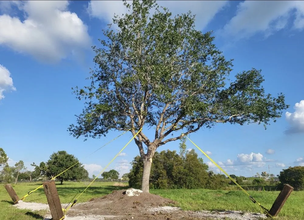 Reliable residential landscaping for year-round maintenance in Bradenton, FL by Logik Services