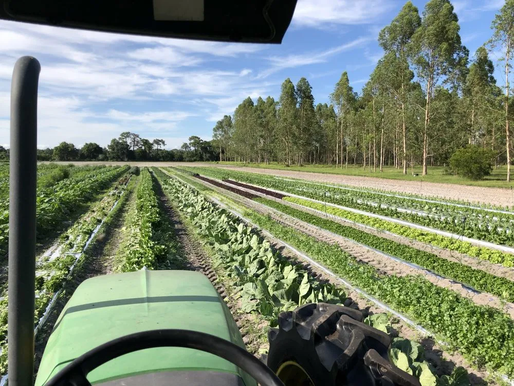 Trusted lawn care service for residential properties across Bradenton, FL - Logik Services