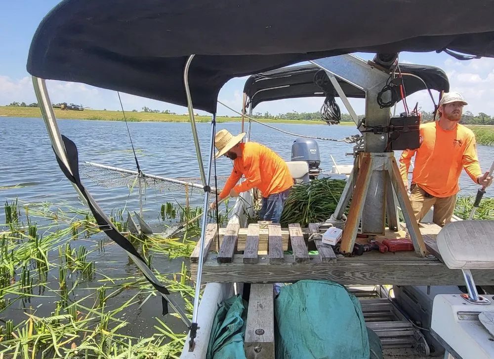 Custom landscape design with custom design across Bradenton, FL - Logik Services