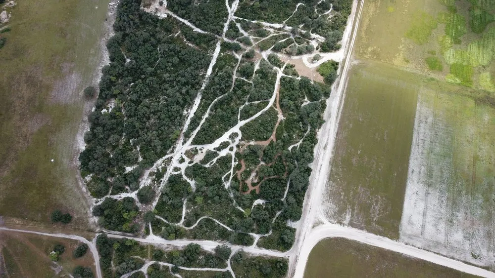 Custom outdoor landscaping for year-round maintenance across Bradenton, FL - Logik Services