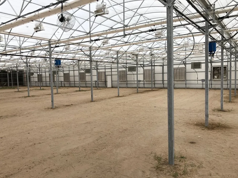 Expert landscape design for homes across Bradenton, FL - Logik Services