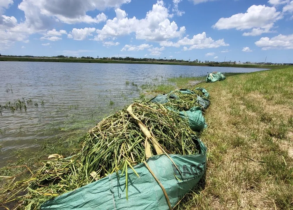 Trusted garden landscaping with custom design in Bradenton, FL by Logik Services