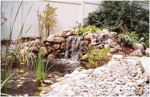 Professional yard maintenance in Norwalk, CT - Loglisci Water Gardens